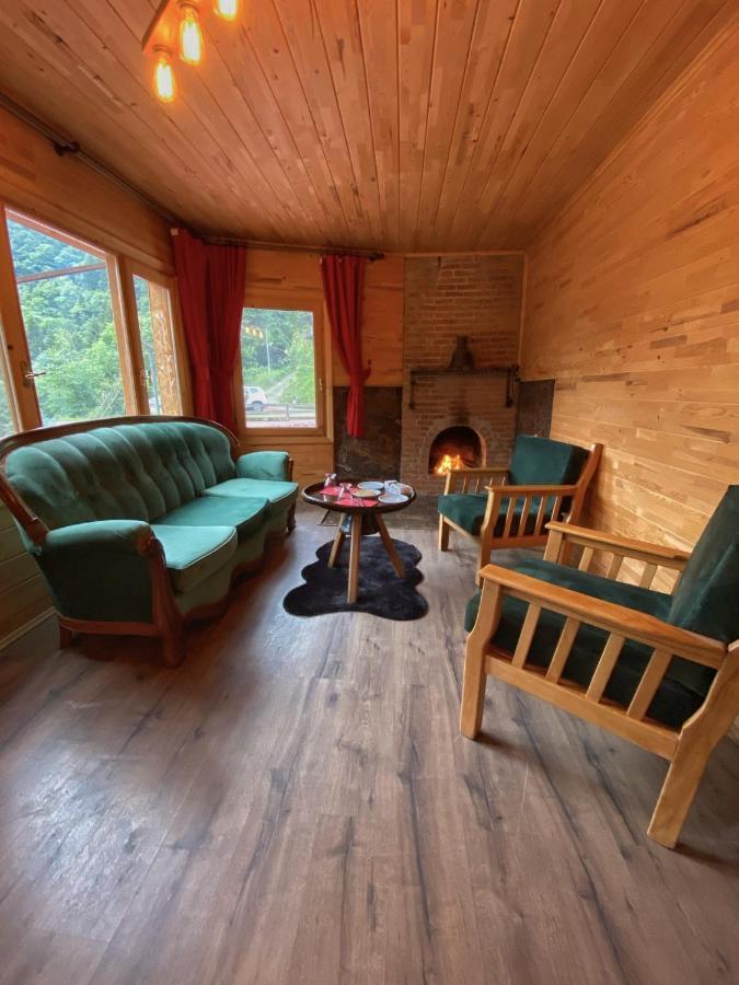 Seyr-I Cennet Dag Evleri Çamlıhemşin エクステリア 写真