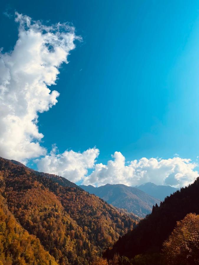 Seyr-I Cennet Dag Evleri Çamlıhemşin エクステリア 写真