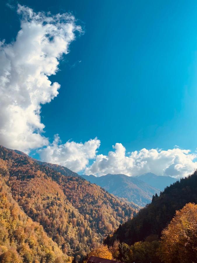 Seyr-I Cennet Dag Evleri Çamlıhemşin エクステリア 写真